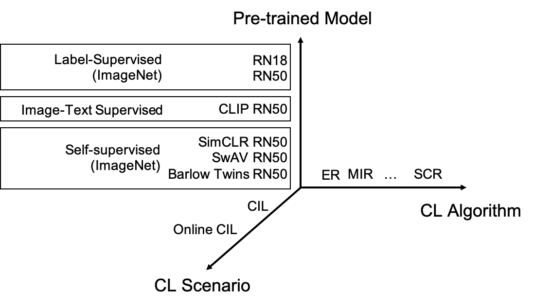 Different models, different CL methods, and different CL scenarios for investigation